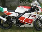 Yamaha TZR 125SP Belgarda
